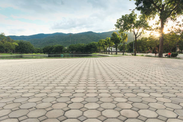 Best Affordable Driveway Pavers  in Silsbee, TX